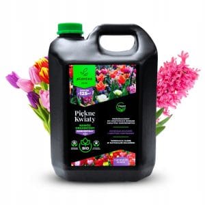 Planteo piękne kwiaty bio 5l – super cena, nowość.