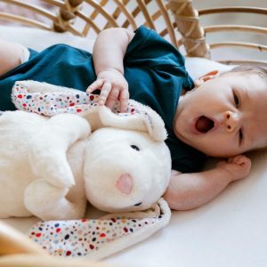 Nowość. szary króliś whisbear z szumem w super cenie