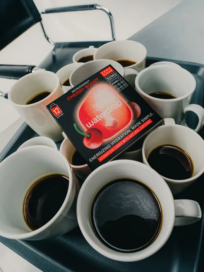 Microenergy_-_Max_Manavi-Huber