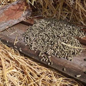 Nowość. super cena: trawokulki jeziorne 2x15kg (30kg zestaw)