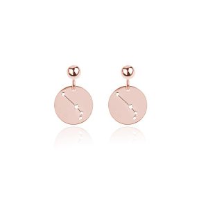 Nowość. kolczyki zodiakalne rose gold w super cenie
