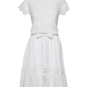 Nowość. Sukienka ravn sonny – modny wybór w super cenie