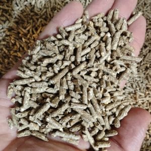 Nowość. animaxkot golden pine 7l super cena – peletka sosnowa