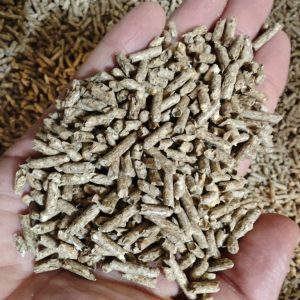 49 Litrów AnimaxKot Golden Line 3mm 7 litrów - peletka zbrylająca, opakowanie zastępcze ciemny pelecik , zapas 7 opakowań, 32kg, 1 karton, wysyłka w