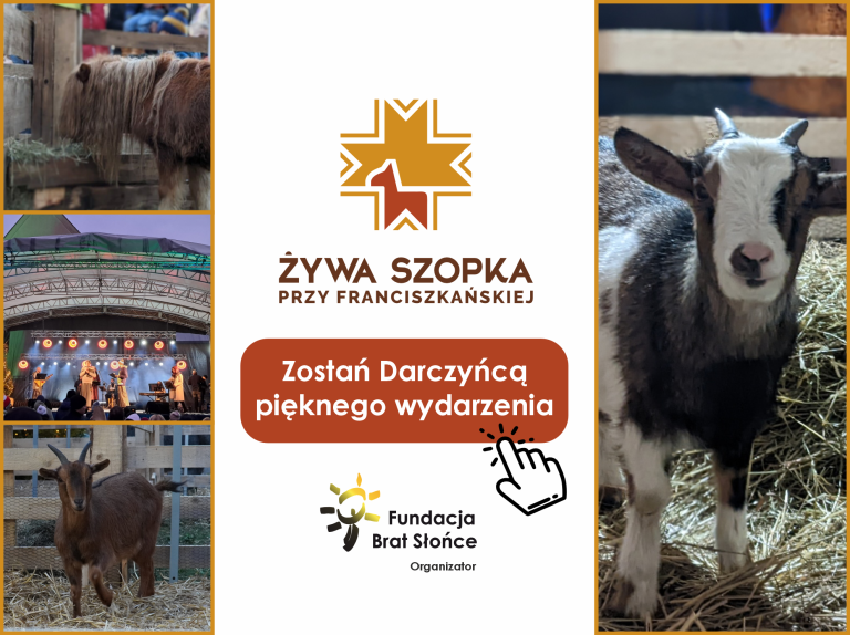 33. Żywa Szopka przy Franciszkańskiej w Krakowie