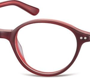 Oprawki okulary optyczne Sunoptic A51E