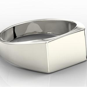 Sygnet z białego złota SJ-26B