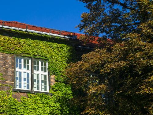 Kraków, Małopolska Wawel  architektura